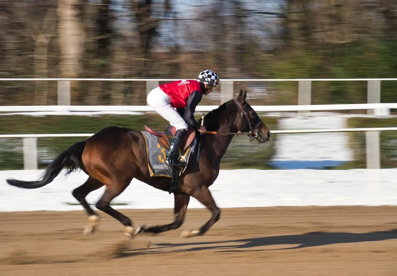 Jockey på galophest i fuld fart på en væddeløbsbane