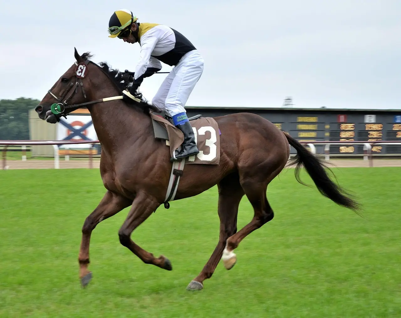 Jockey på en galophest på en væddeløbsbane